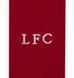 Гетри Nike LFC U NK STRIKE KH Red 42-46 size DZ5651-687 фото 4