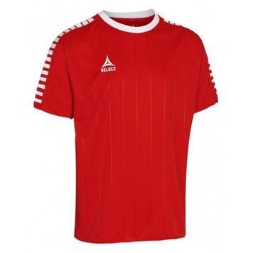 Футболка SELECT Argentina player shirt s/s S z0q-vcd-vgw фото