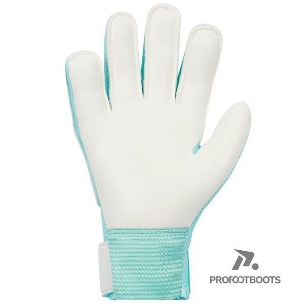 Воротарські рукавиці Nike NK GK MATCH JR 5 size FJ4864-010 фото