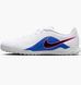 Сороконіжки чоловічі Nike Tiempo Maestro Club Tf White IB4482-146 фото 1