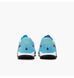 Сороконіжки Nike Tiempo Legend 10 Academy TF DV4342-401 фото 6