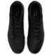 Сороконіжки Nike Tiempo Legend Academy TF Black DV4342-002 фото 4