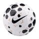 Мʼяч Nike Academy 25/26 чорний HV4386-100-5 фото