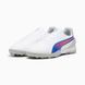 Сороконіжки Puma King Match TT White 107879-02 фото 2