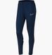 Штани Nike Dry Academy Pants Black CV2665-451  CV2665-451 фото